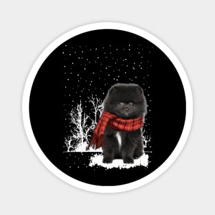 Christmas Black Pomeranian With Scarf In Winter Forest Magnet